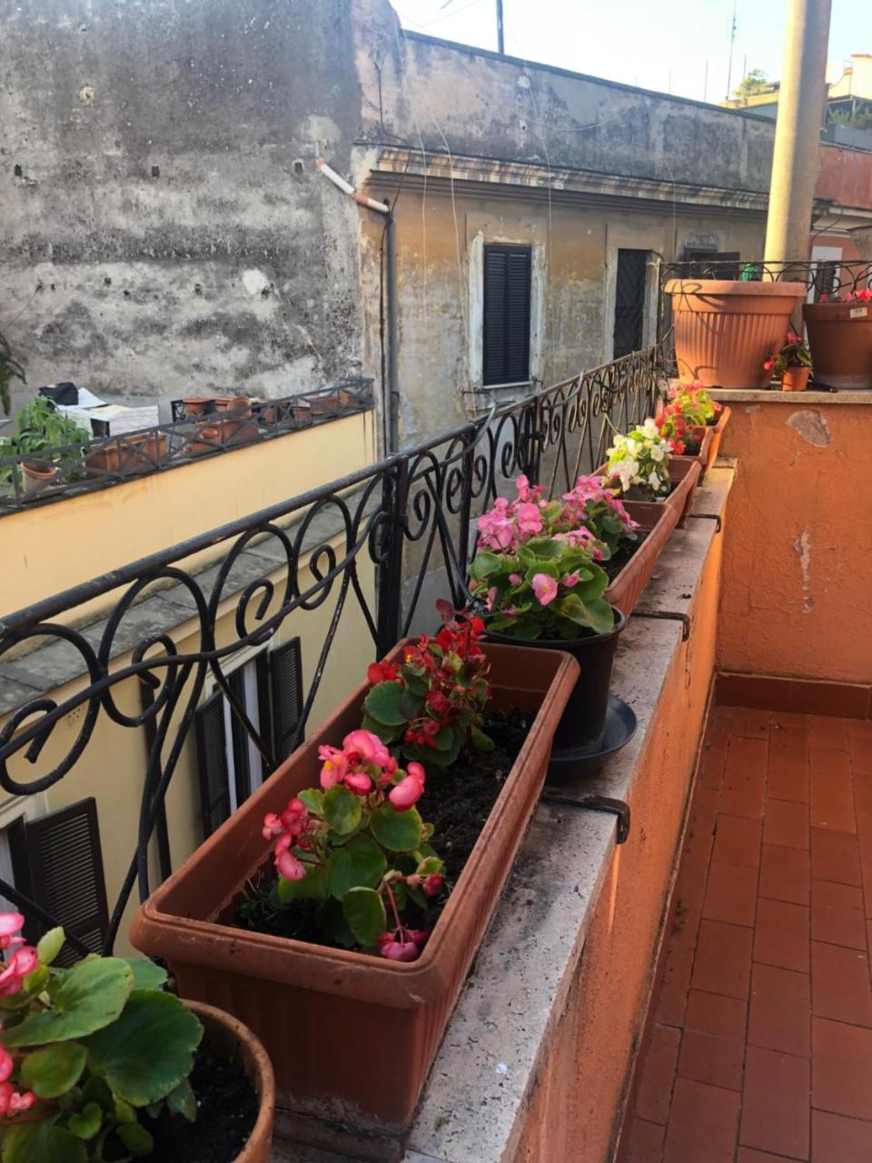 Casajusta Trastevere 로마 외부 사진